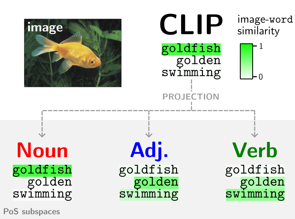 (a) Image-word similarity with both CLIP’s embedding and after projecting it onto the PoS subspaces.